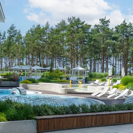 Your Holidays Waves C537 *