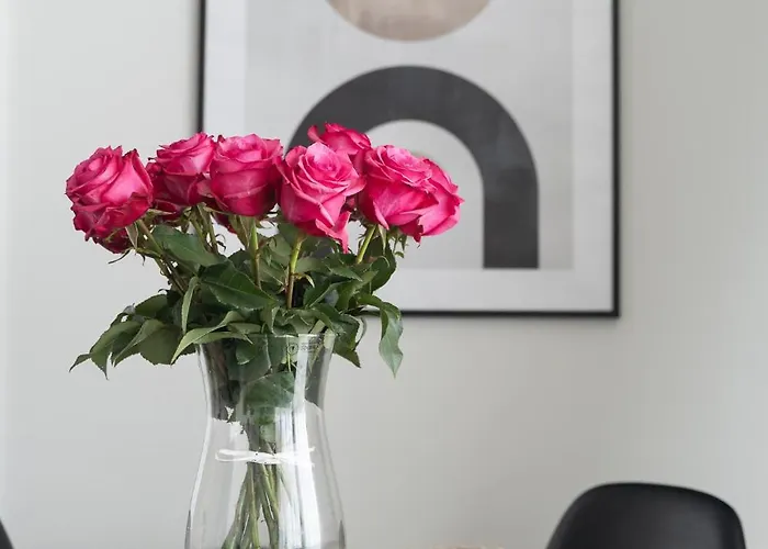 Your Holidays Wave C537 *